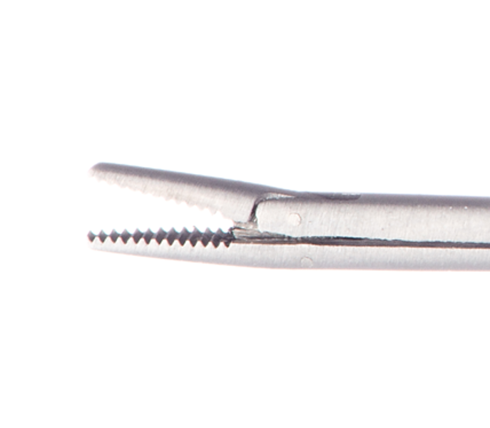 St Ultra Fine Alligator Forcep Sterile Each